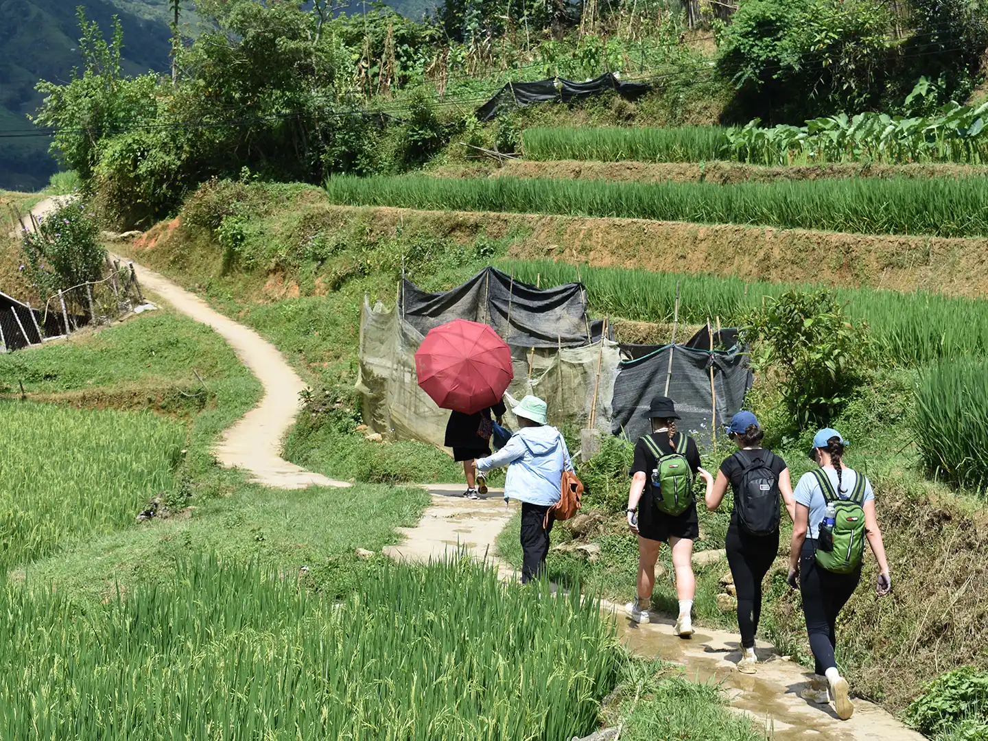 North Vietnam 8 Days Trip